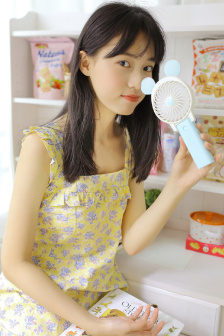 胡桃夹子与四个王国